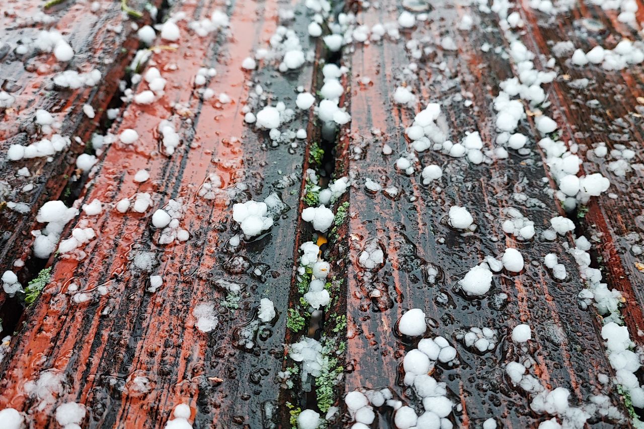 Bolas de granizo y gotas de agua sobre tablas de madera mojadas, con musgo entre las juntas.